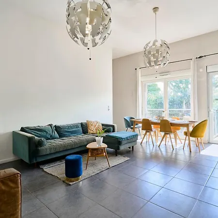 Maison Contemporaine - - Jardin *