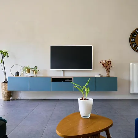 Maison Contemporaine - - Jardin *