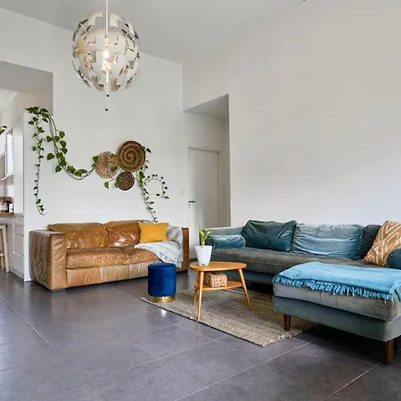 Maison Contemporaine - - Jardin Daire *