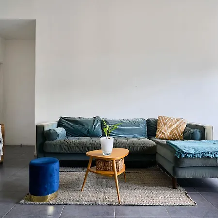 Maison Contemporaine - - Jardin Daire