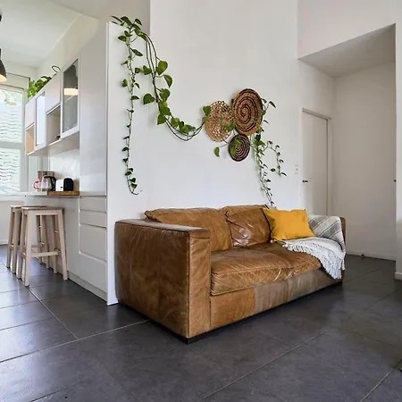 Maison Contemporaine - - Jardin Daire