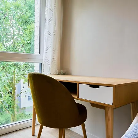 Maison Contemporaine - - Jardin Lille