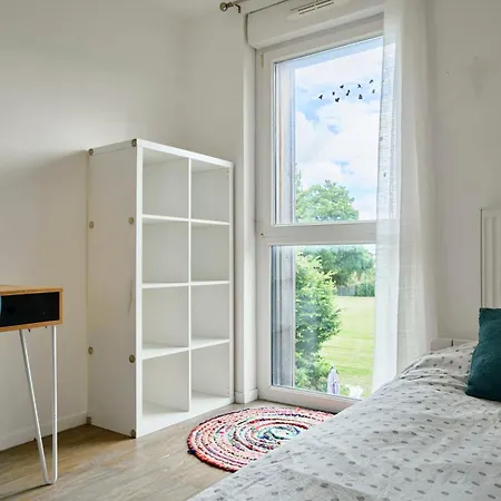 Maison Contemporaine - - Jardin Lille